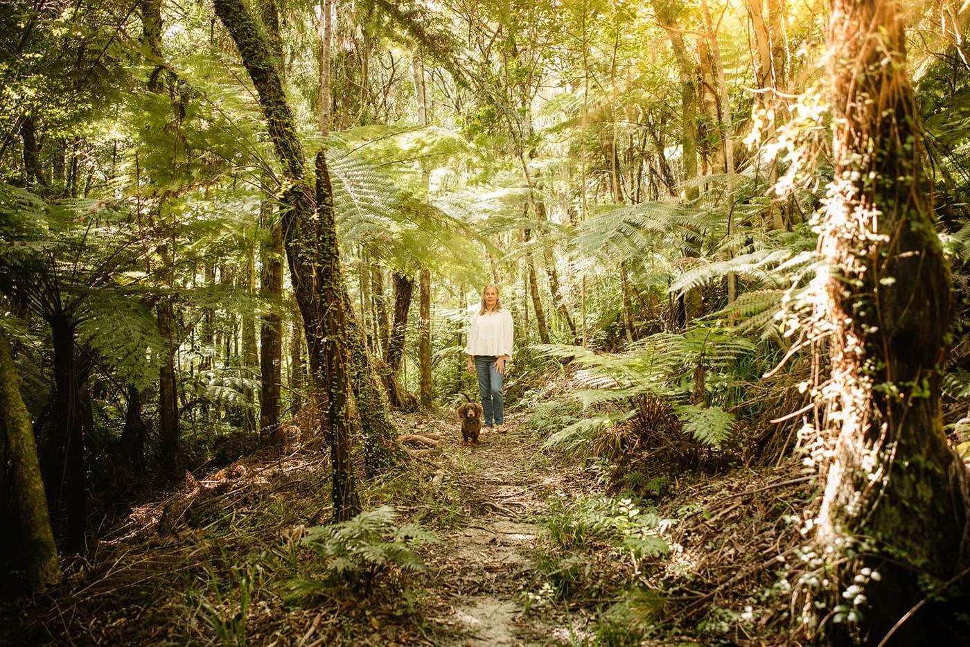 Walking track through native bush and tree ferns